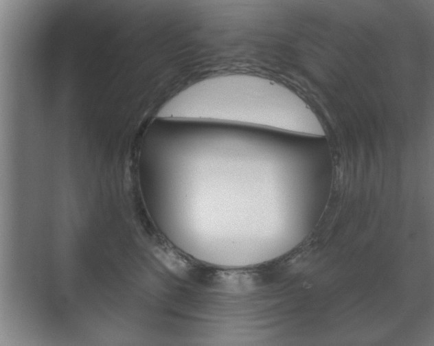 X0000072490520200607140914
