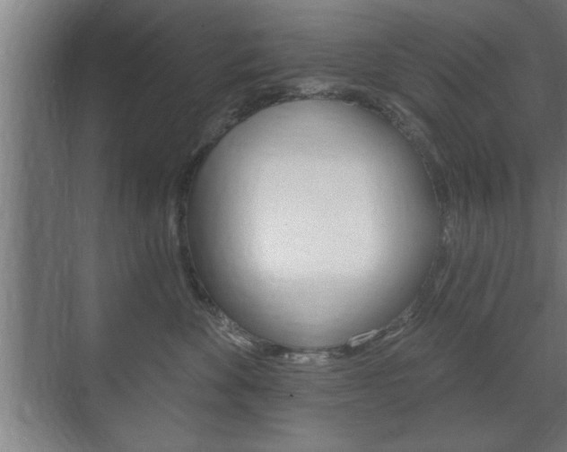 X0000072490524200607140914