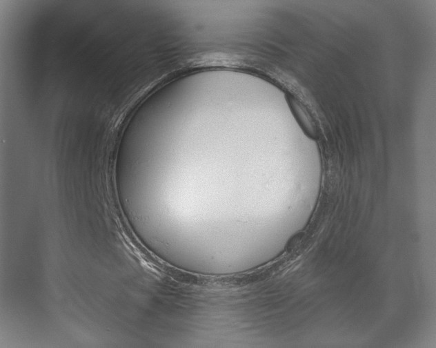 X0000072490529200607140913