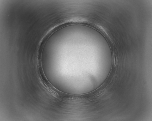 X0000072490531200607140913
