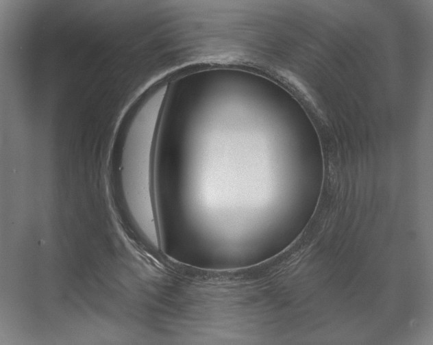 X0000072490532200607140913