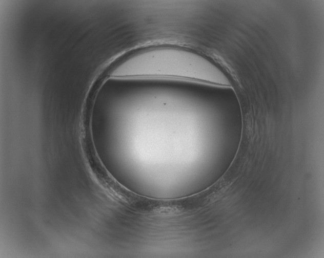 X0000072490536200607140913
