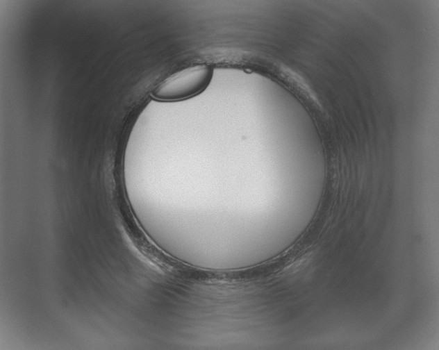 X0000072490538200607140913