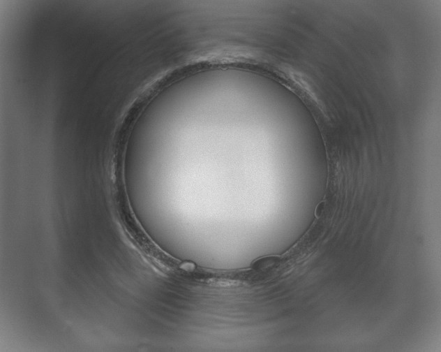 X0000072490539200607140913