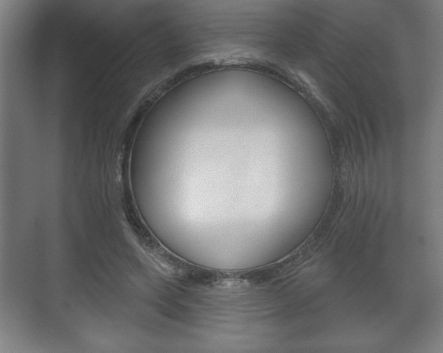 X0000072490543200607140913