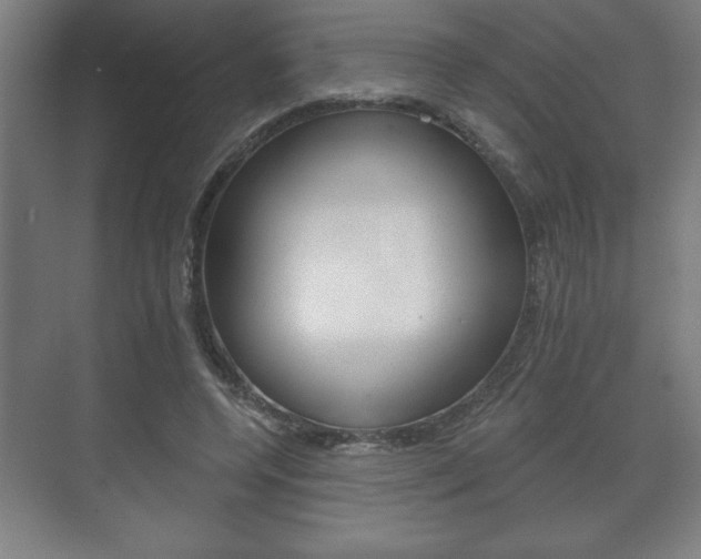 X0000072490544200607140913