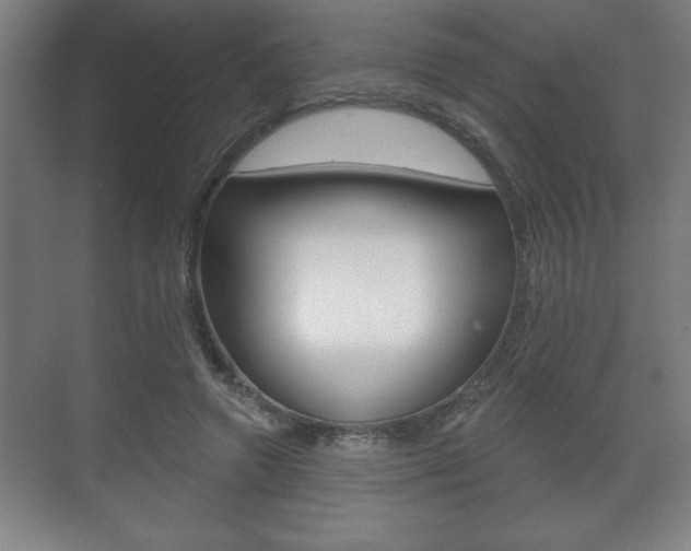 X0000072490546200607140913