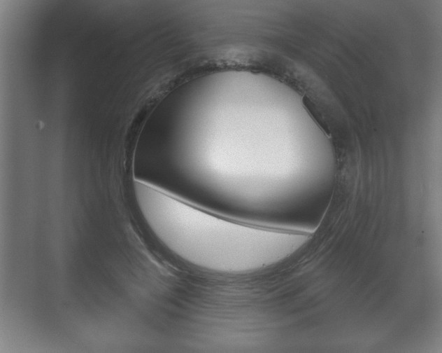 X0000072490548200607140913