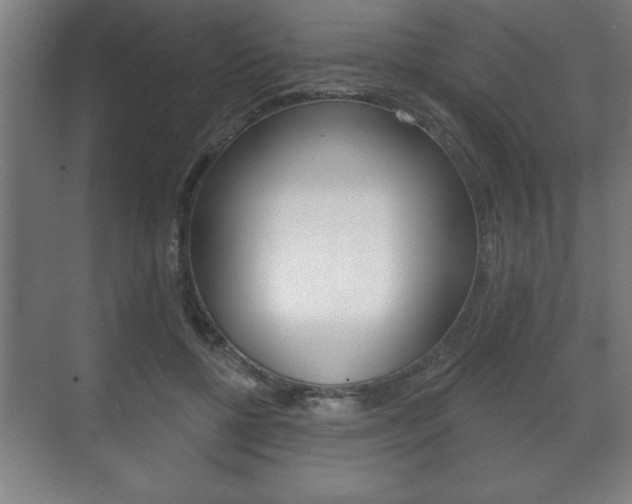 X0000072490552200607140913
