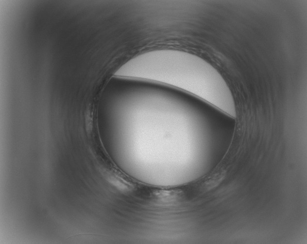 X0000072490558200607140913
