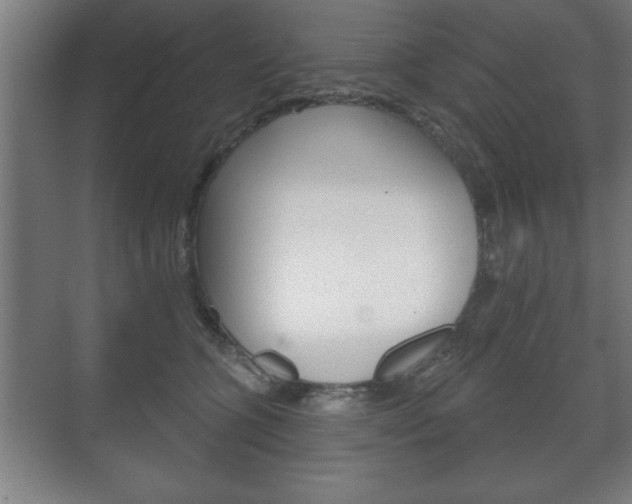 X0000072490563200607140913