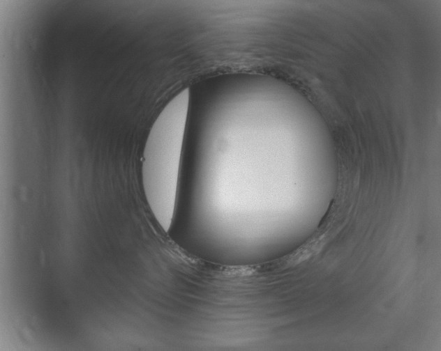 X0000072490576200607140913