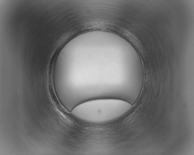 X0000072490578200607140913