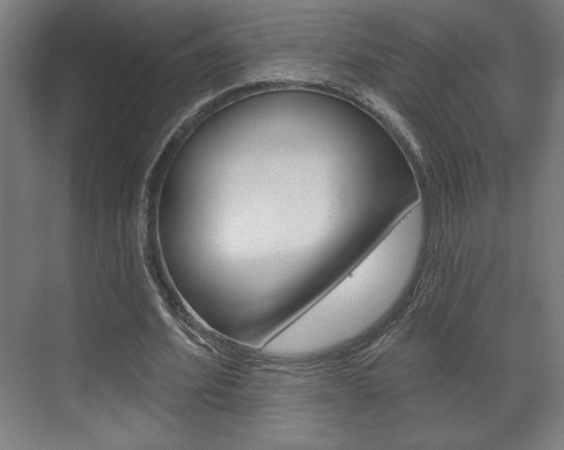 X0000072490580200607140913
