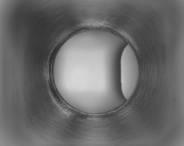 X0000072490582200607140913