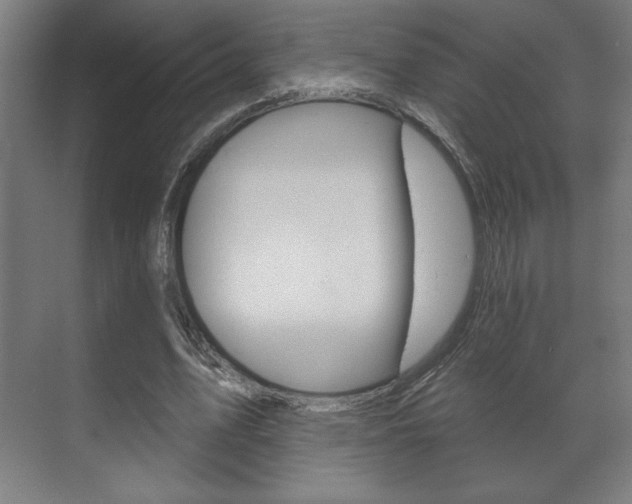 X0000072490583200607140913