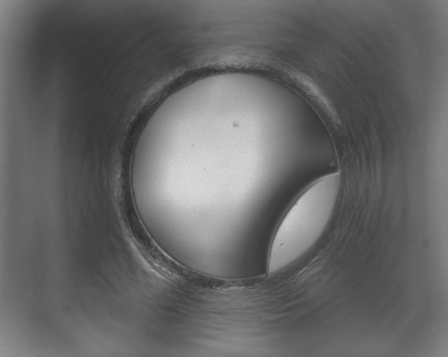 X0000072490588200607140912