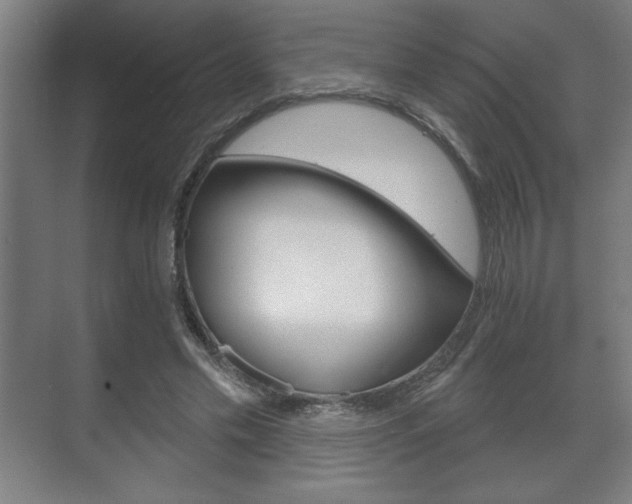 X0000072490589200607140912