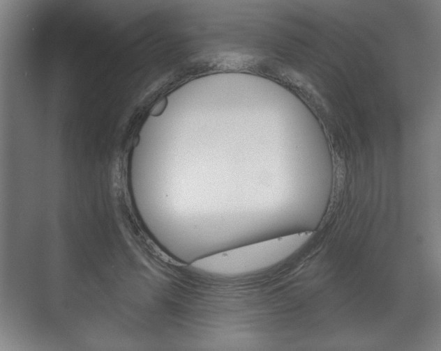 X0000072490591200607140912