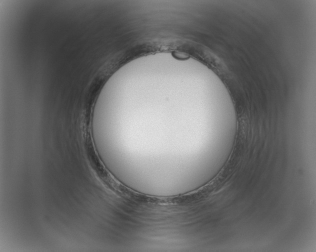 X0000072490594200607140912