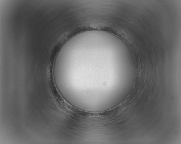 X0000072490595200607140912