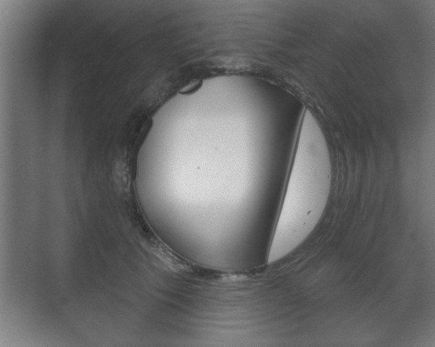 X0000072490609200607140912
