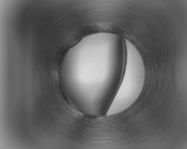 X0000072490613200607140912