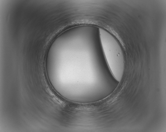 X0000072490625200607140911