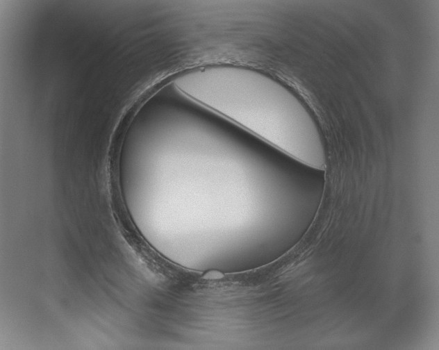 X0000072490626200607140911