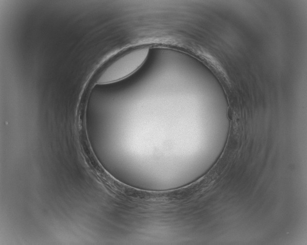 X0000072490628200607140911
