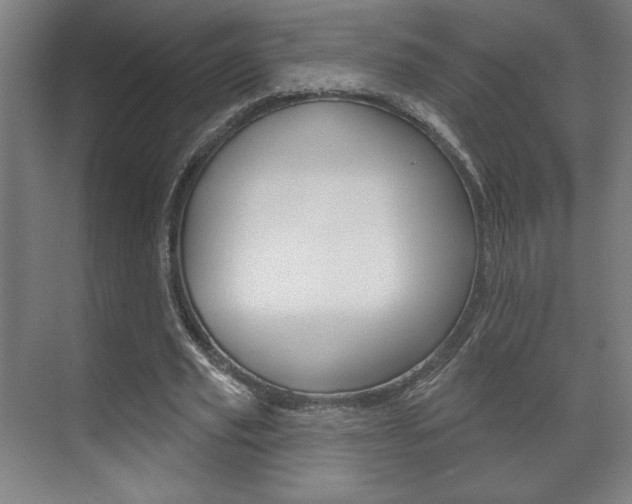 X0000072490629200607140911