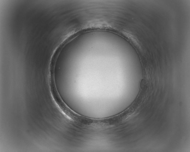 X0000072490630200607140911
