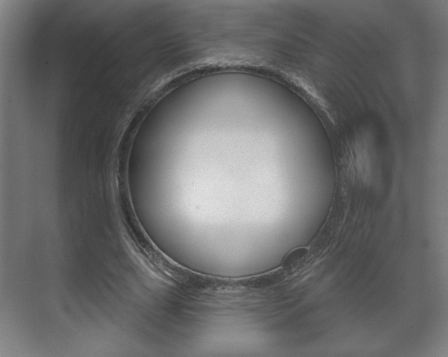 X0000072490631200607140911