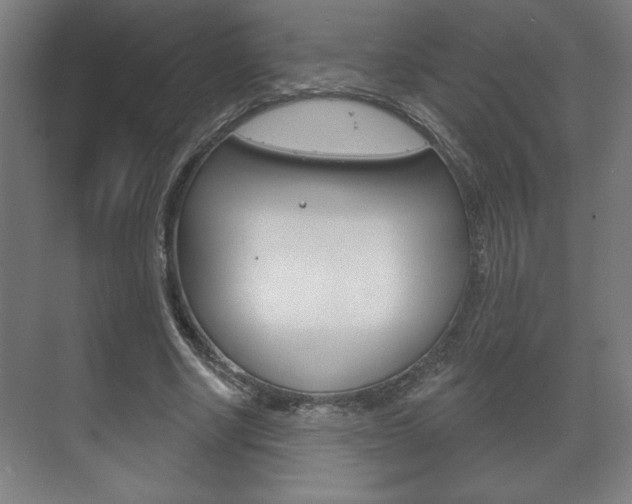 X0000072490634200607140911
