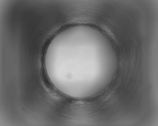 X0000072490635200607140911
