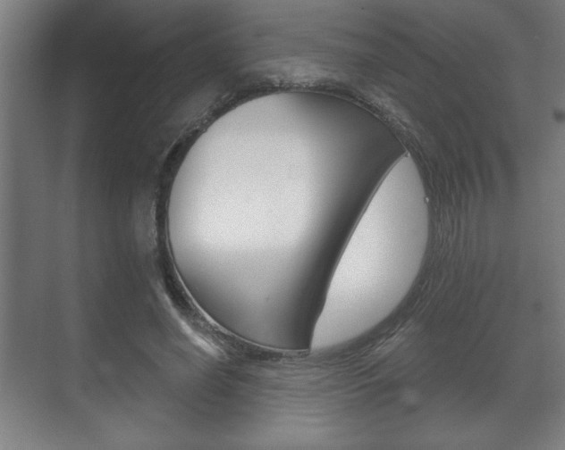 X0000072490638200607140911