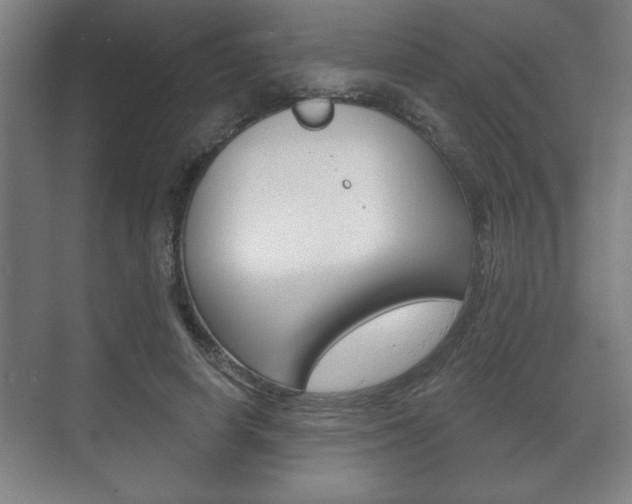 X0000072490642200607140911