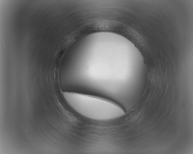 X0000072490645200607140911