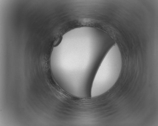 X0000072490653200607140912
