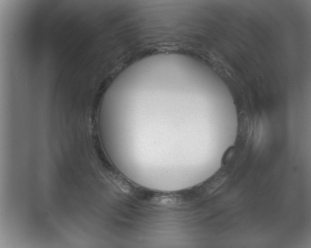 X0000072490655200607140912