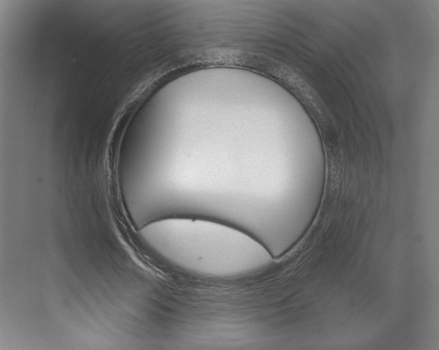 X0000072490674200607140911