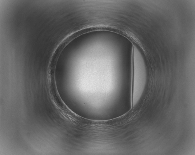X0000072490676200607140911