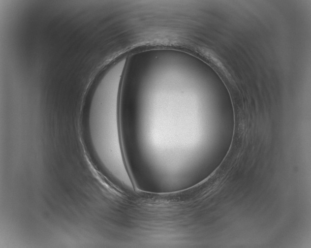 X0000072490677200607140911
