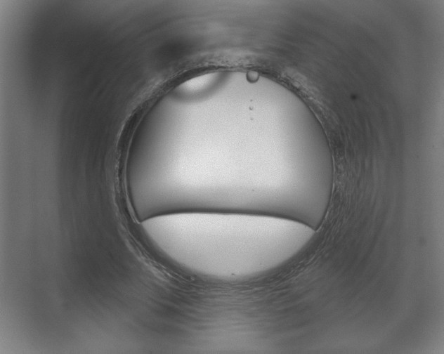 X0000072490679200607140911