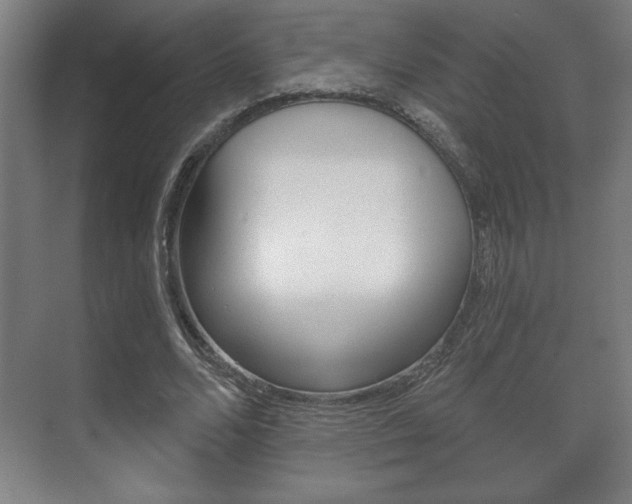 X0000072490680200607140911