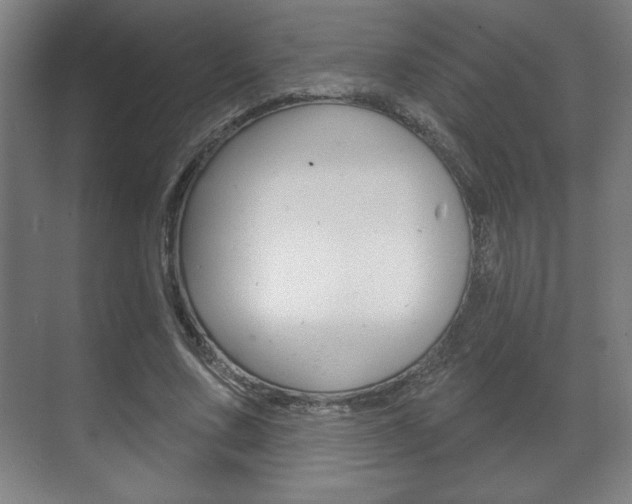 X0000072490683200607140911