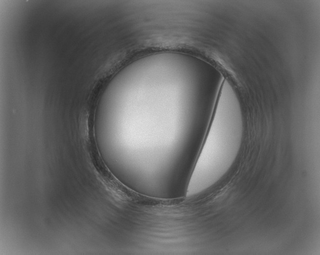 X0000072490685200607140911