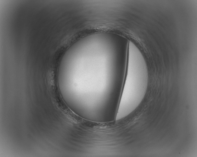 X0000072490689200607140911