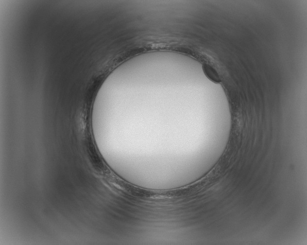 X0000072490691200607140911