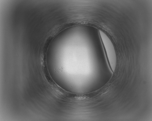 X0000072490693200607140911